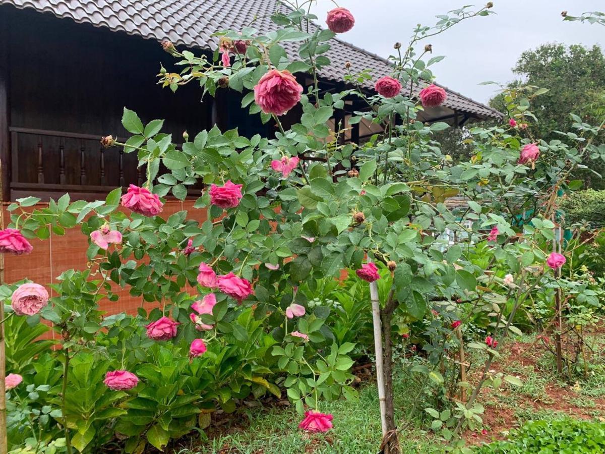 Phuong Nam Gia Trang Farmstay Gia Nghia Экстерьер фото