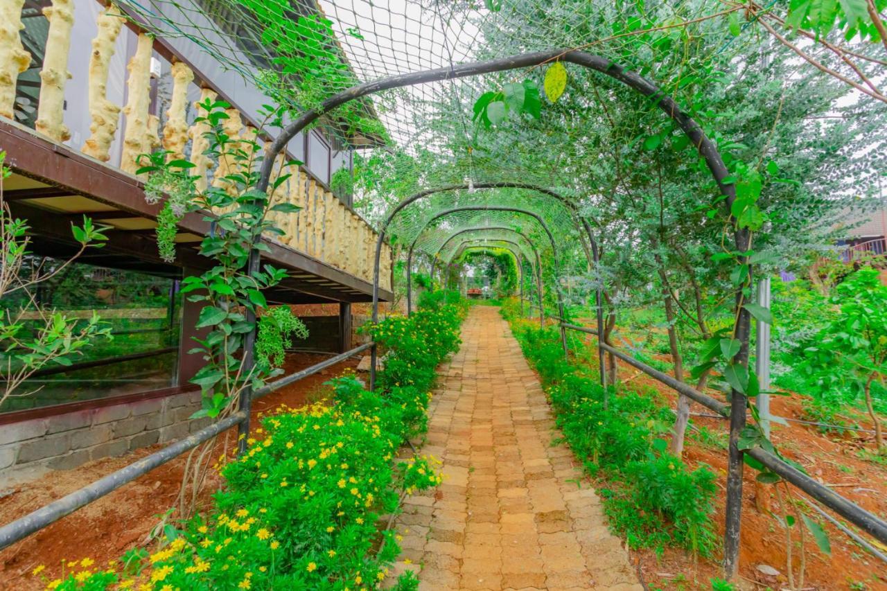 Phuong Nam Gia Trang Farmstay Gia Nghia Экстерьер фото